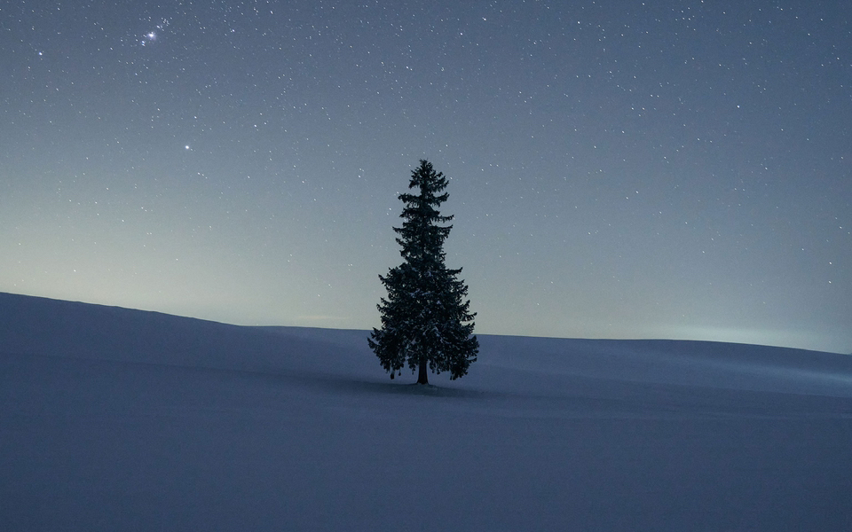 北海道雪景唯美图片图片