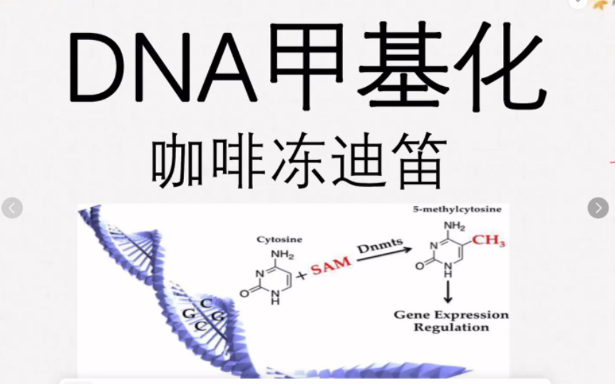 DNA甲基化,一个视频搞懂!【医学科研】哔哩哔哩bilibili