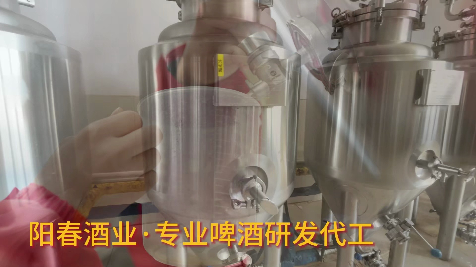 阳春啤酒厂唇语啤酒西柚茉莉口味