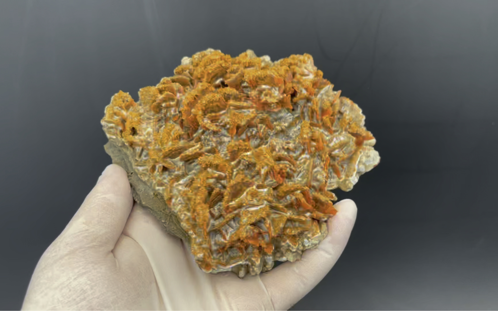 精美矿物晶体:新疆产的钼铅矿