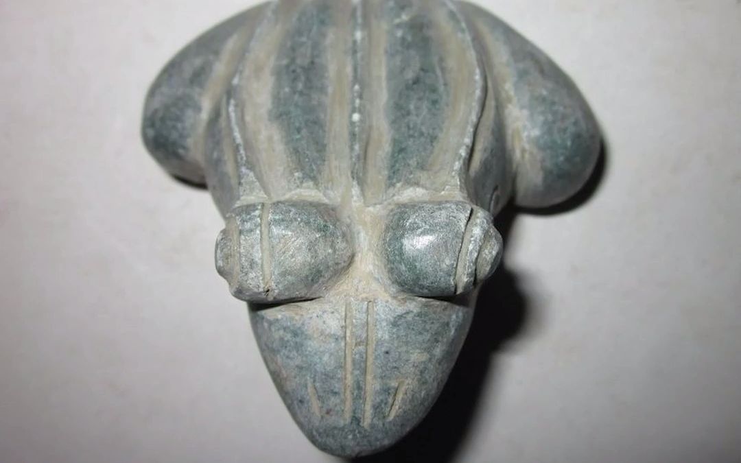 【鉴宝】青蛙化石,熬汤肯定不好喝!