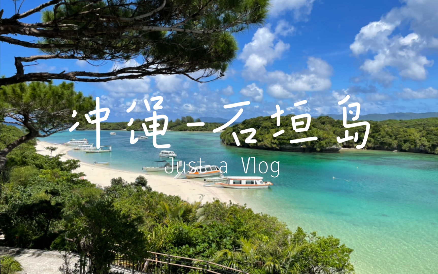 日本留学|暑假冲绳之旅|石垣岛vlog哔哩哔哩bilibili