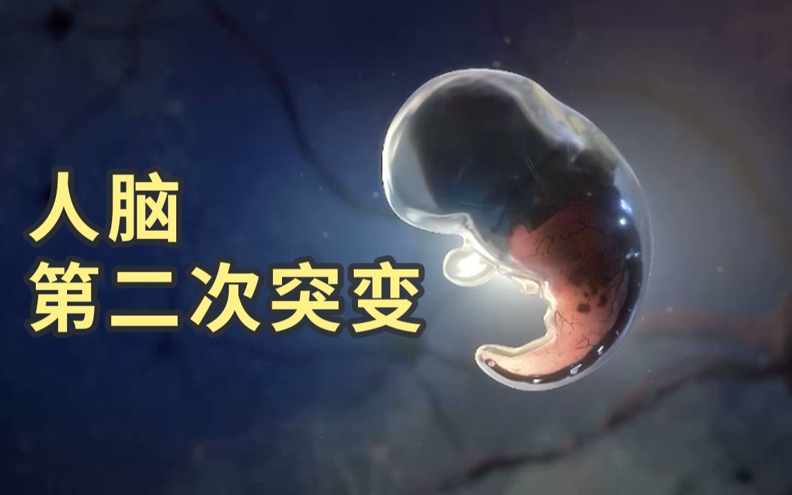 黑门精彩看点2-国创-全集-高清独家在线观看-bilibili-哔哩哔哩