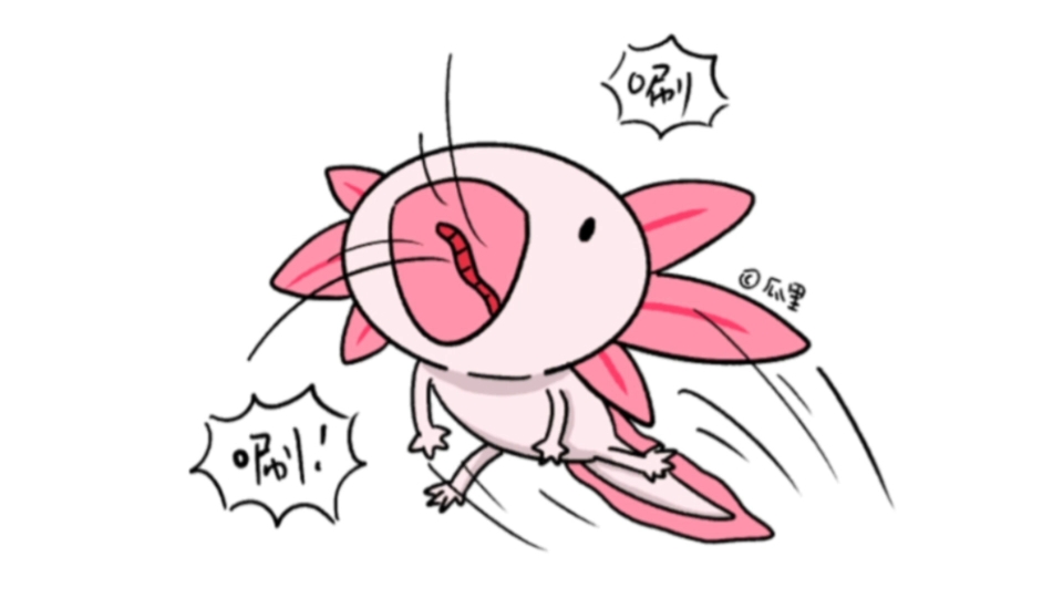 论一只佛系宠物不佛系的时候有多迅捷【鱼粉崽】-六角恐龙