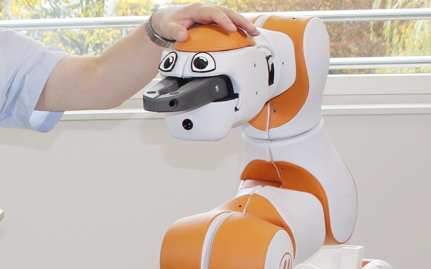 首个欧洲品牌的个人护理类养老机器人即将登录中国上海!