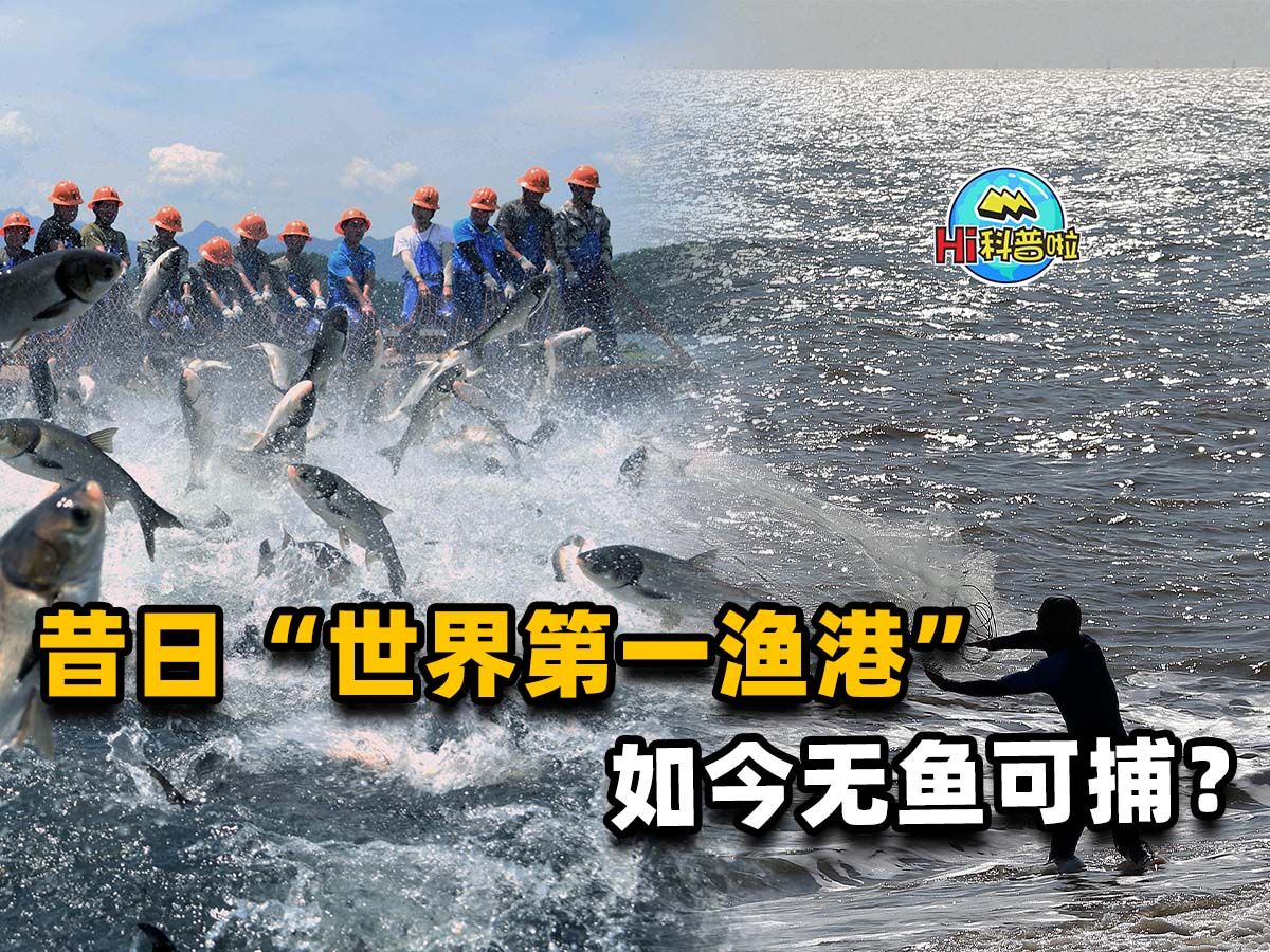 500年“世界第一渔港”,沦落到禁渔20年无鱼可捕,堪称断子绝孙哔哩哔哩bilibili