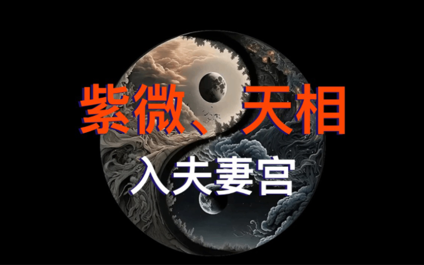 【紫微、天相星入夫妻宫】夫妻宫看配偶,紫微斗数学习哔哩哔哩bilibili