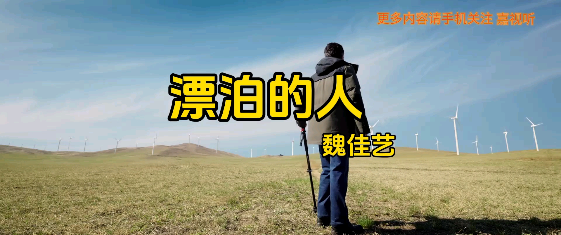 魏佳艺《漂泊的人》烟嗓hifi 音质