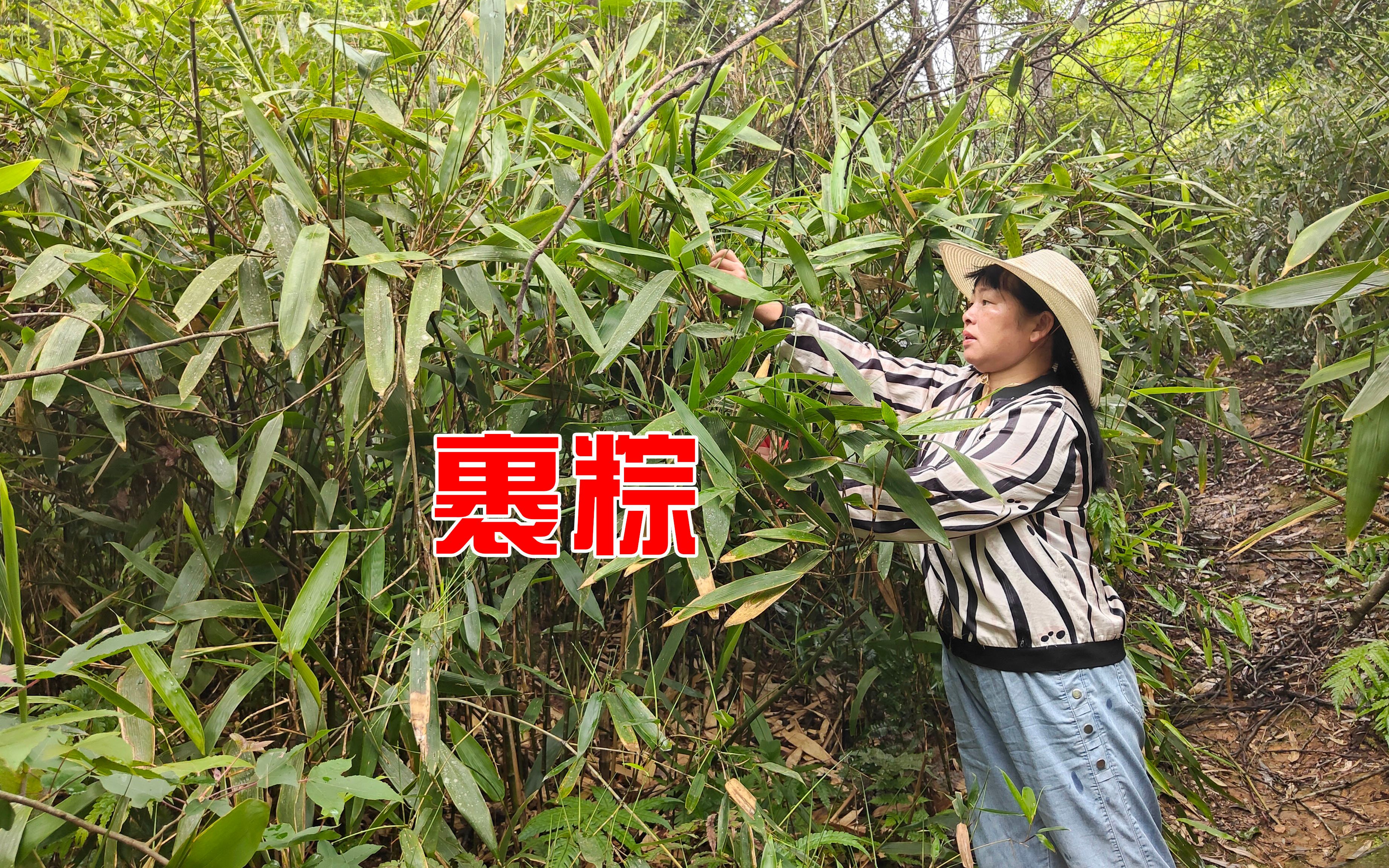 媳妇做梦都在吃粽子,先准备树枝和叶,她说这样裹超好吃还不易坏哔哩哔哩bilibili