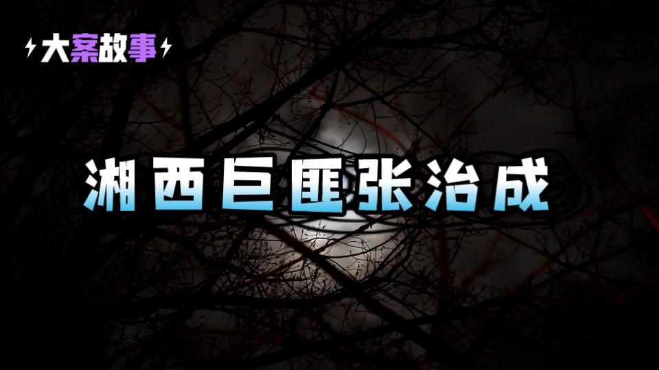 湘西巨匪张治成伏法记,4年残忍杀害17人,贪婪成性坏事做绝哔哩哔哩bilibili