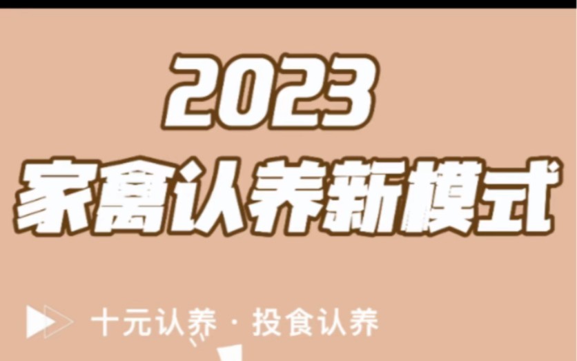 2023年家禽认养新模式、家禽认养怎么做#家禽认养 #一颗认养哔哩哔哩bilibili