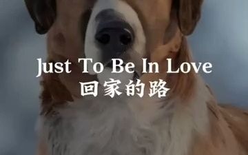 [图]听了满血复活，阴霾尽散，世界名曲《Just To Be In Love》