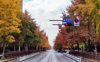 丹枫秋意-杭州的深秋真的令人上头~
