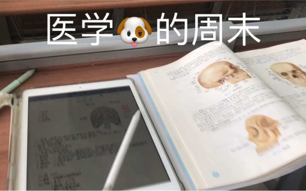 [图]大一医学影像学专业学生的周末