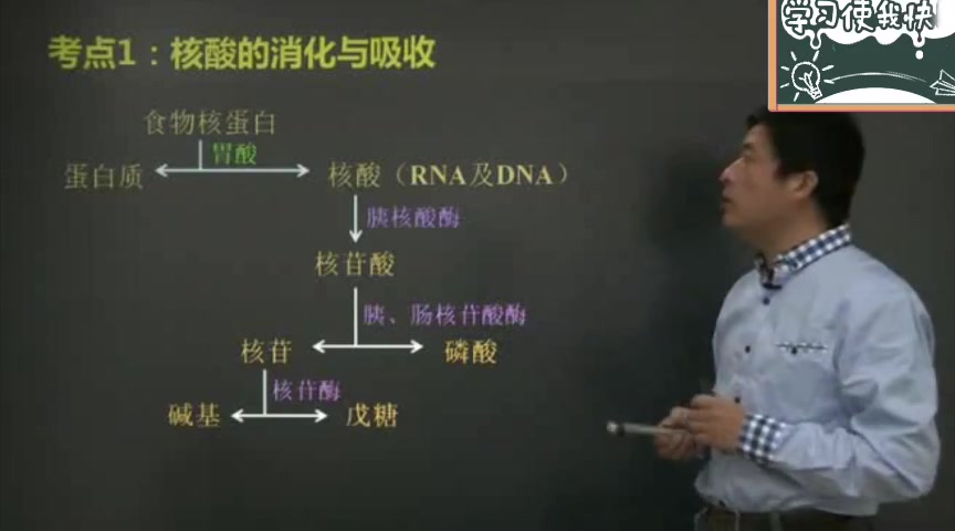 《生物化学》考研生物化学—王镜岩(核苷酸的生物合成1)哔哩哔哩bilibili