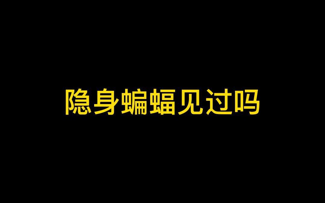 隐身蝙蝠挑战平民卡组教学皇室战争