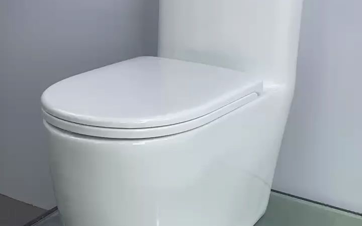 致升826无唇防冻座便器