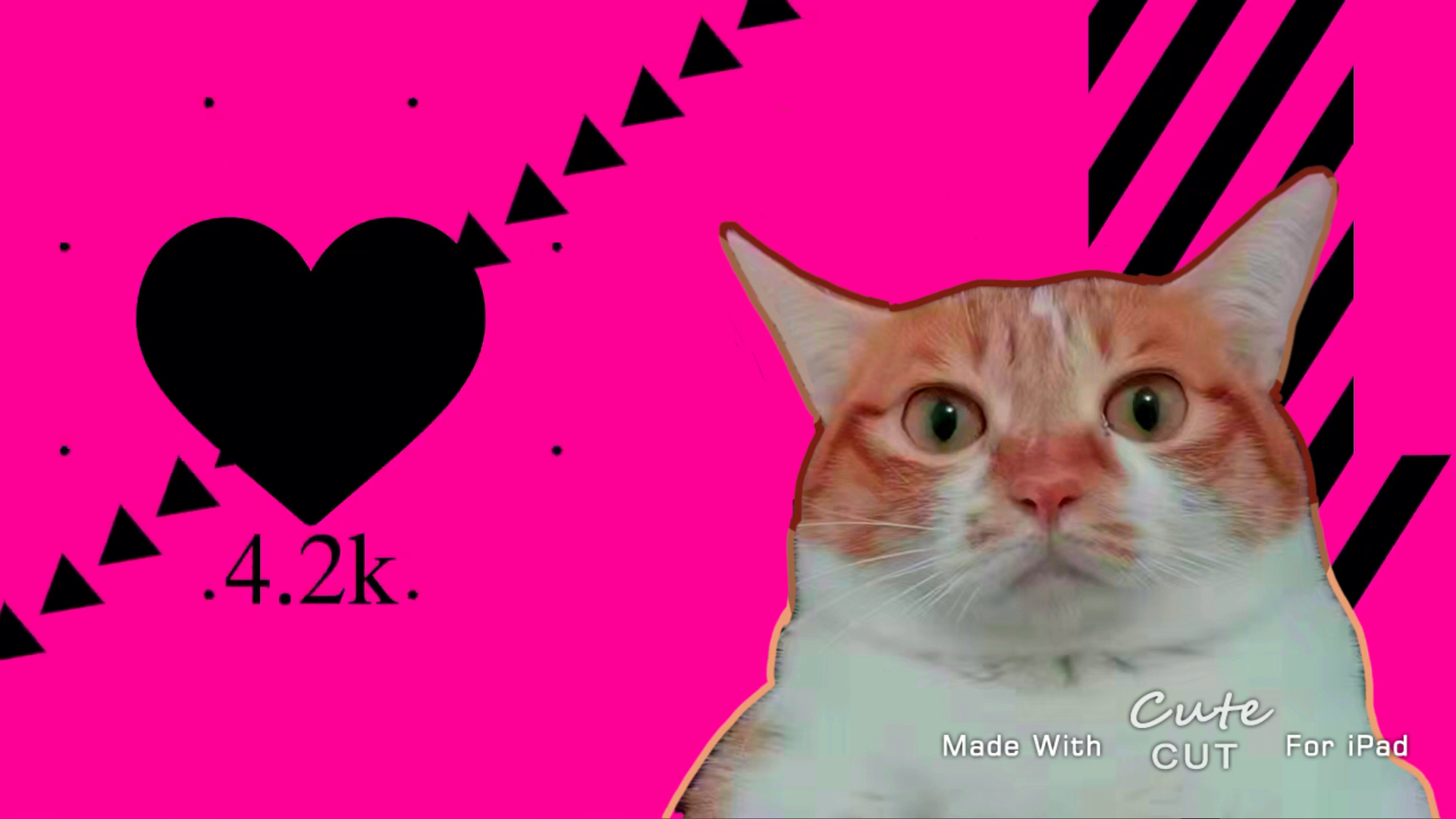 「猫猫头/meme」hip 全网第一支猫猫头meme!_哔哩哔哩_bilibili