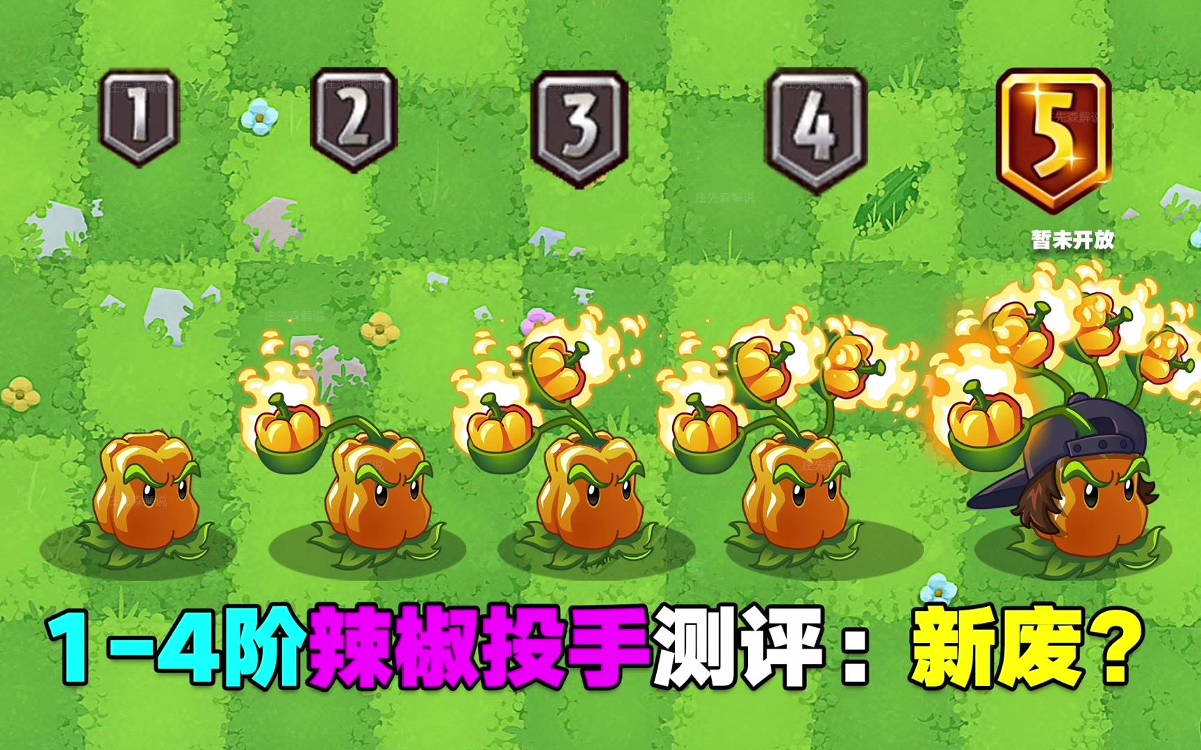 14阶辣椒投手测评!棉小雪:5废位置给你得了?PVZ