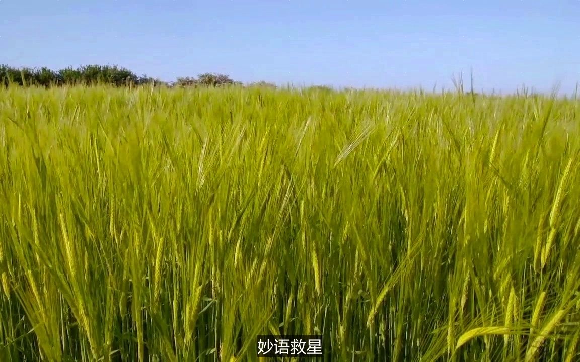 元宵节好久没联系的朋友怎么回复经典开场白哔哩哔哩bilibili