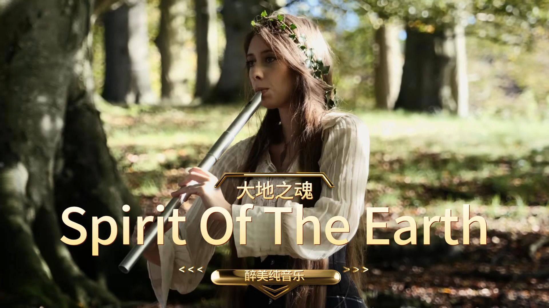 [图]醉人，大气，空灵【史诗纯音】《Spirit Of The Earth大地之魂》