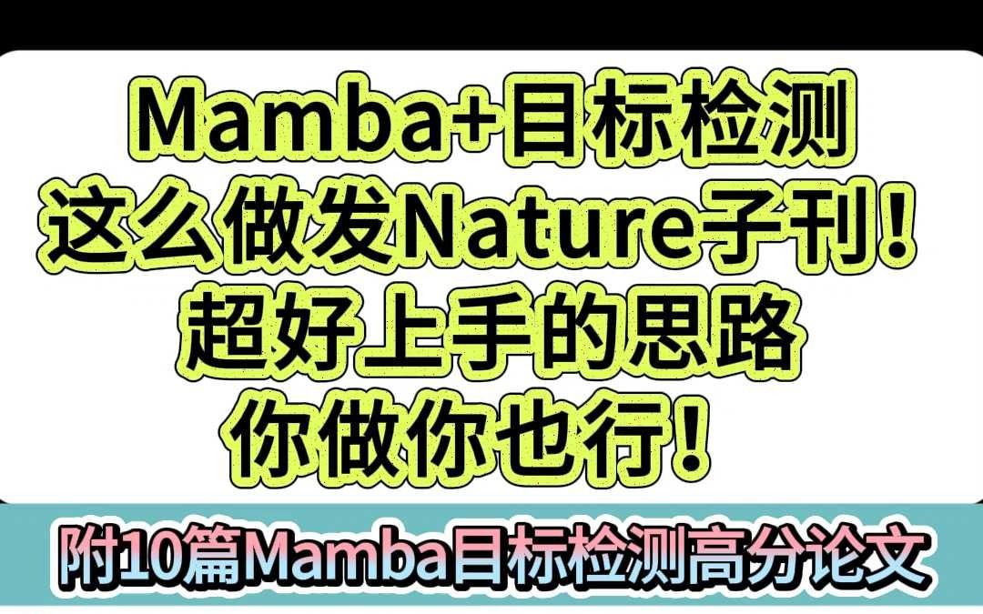 Mamba+目标检测这么做发Nature子刊!哔哩哔哩bilibili