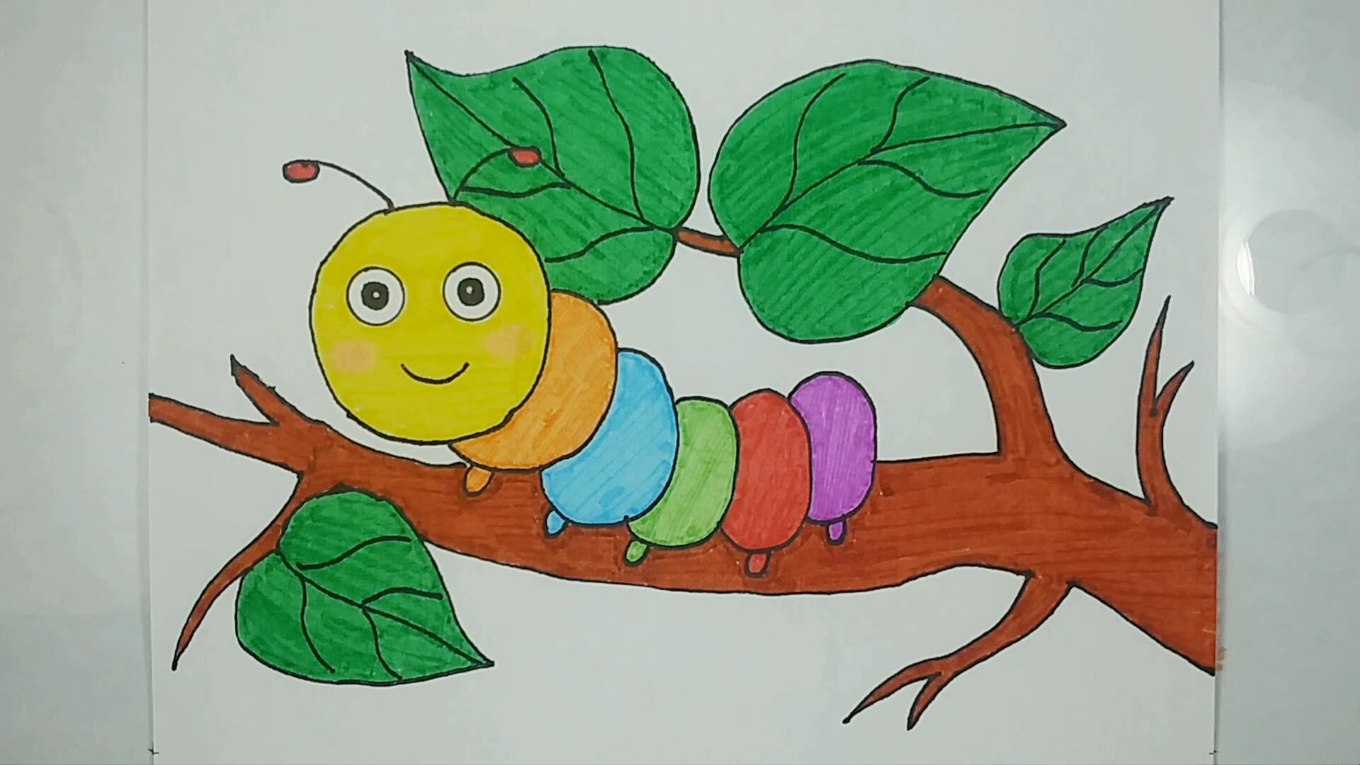 【儿童简笔画】教程:今天教大家如何画树上的毛毛虫