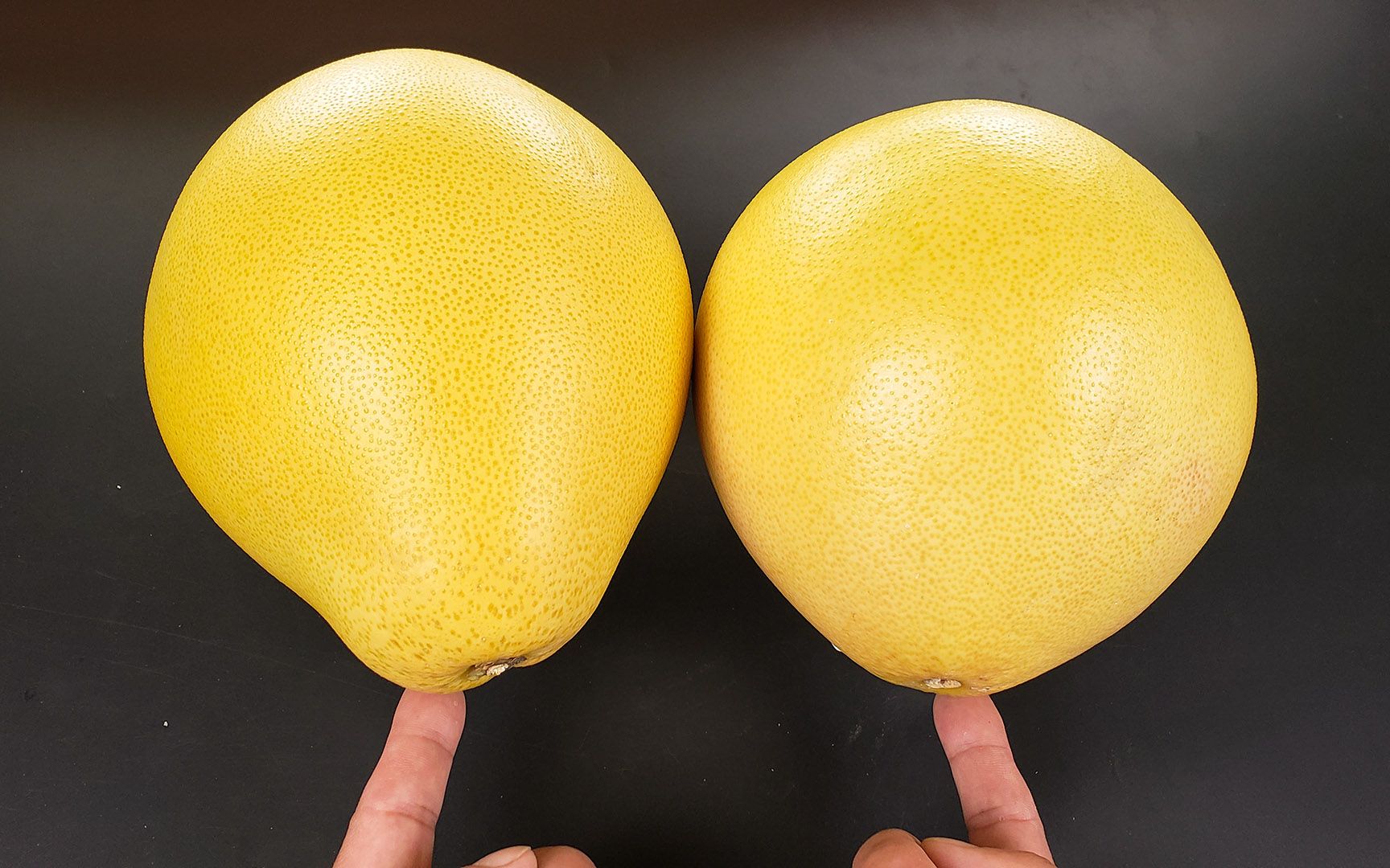 挑柚子牢记不是越圆越好,我也是刚知道,这种才是皮薄肉甜,学学
