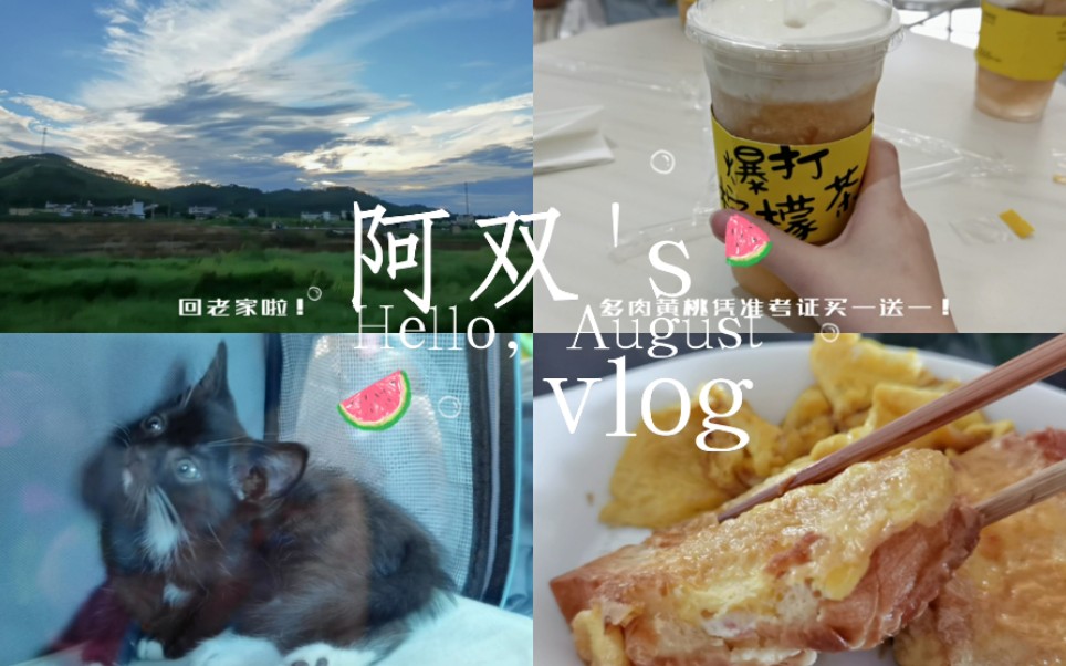 阿双's vlog2/吃吃逛逛的日常/撸猫逗猫/自己做早餐/超美的天空!哔哩哔哩bilibili