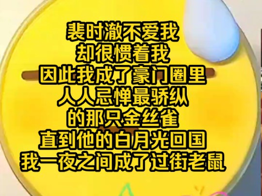 裴时澈不爱我却很惯着我,因此我成了豪门圈里人人忌惮最骄纵的那只金丝雀,直到他的白月光回国我一夜之间成了过街老鼠哔哩哔哩bilibili