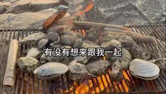 在海岛赶海 ，边赶边烤，太鲜了！