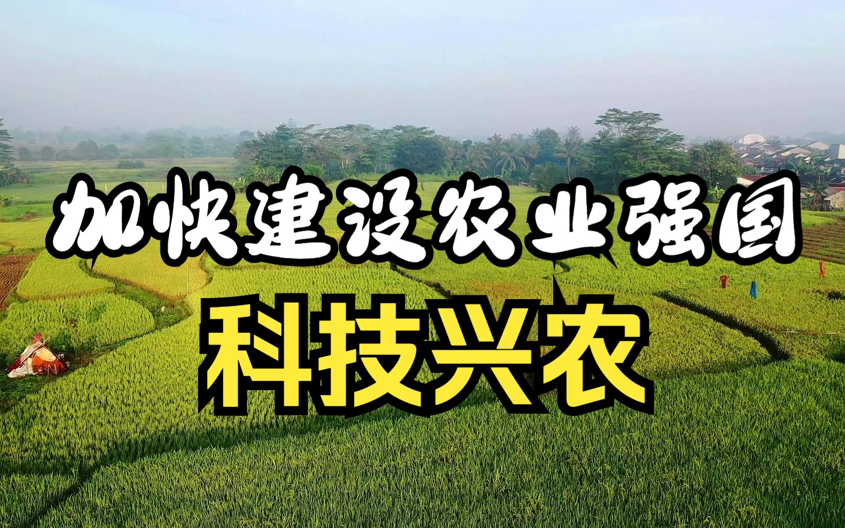 农业大国迈向农业强国,虽是一字之差,但意义重大