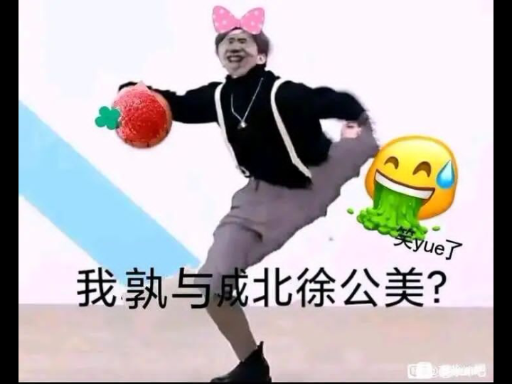 ikun必用表情包哔哩哔哩bilibili