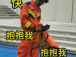 Video herunterladen: 搜救犬凭撒娇本事求抱抱