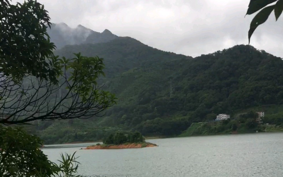 “第二庐山”广州从化流溪河国家森林公园 身临其境 全程录像哔哩哔哩bilibili