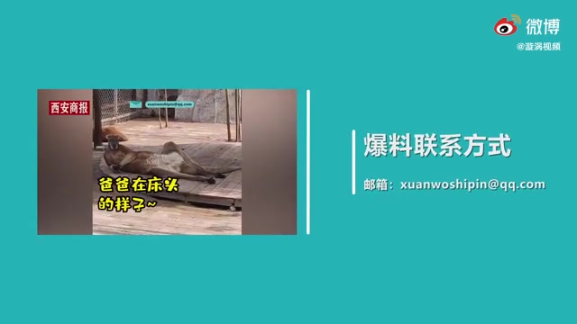 [图]【微博实时热搜】-小伙用瓜子壳摆出孙悟空刘德华-2021-02-24 20-52