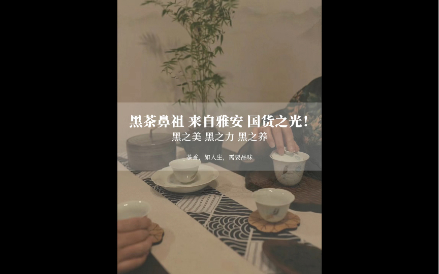 𐟔𔩛…安藏茶丨黑茶鼻祖丨什么是雅安藏茶?哔哩哔哩bilibili