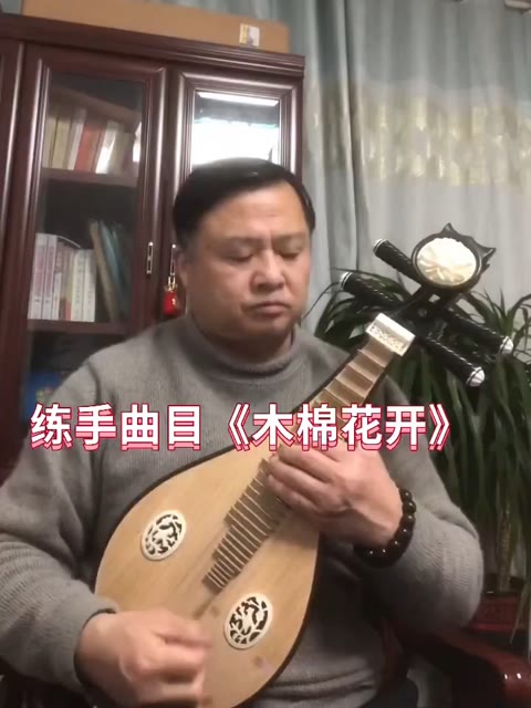 柳琴曲《木棉花开》