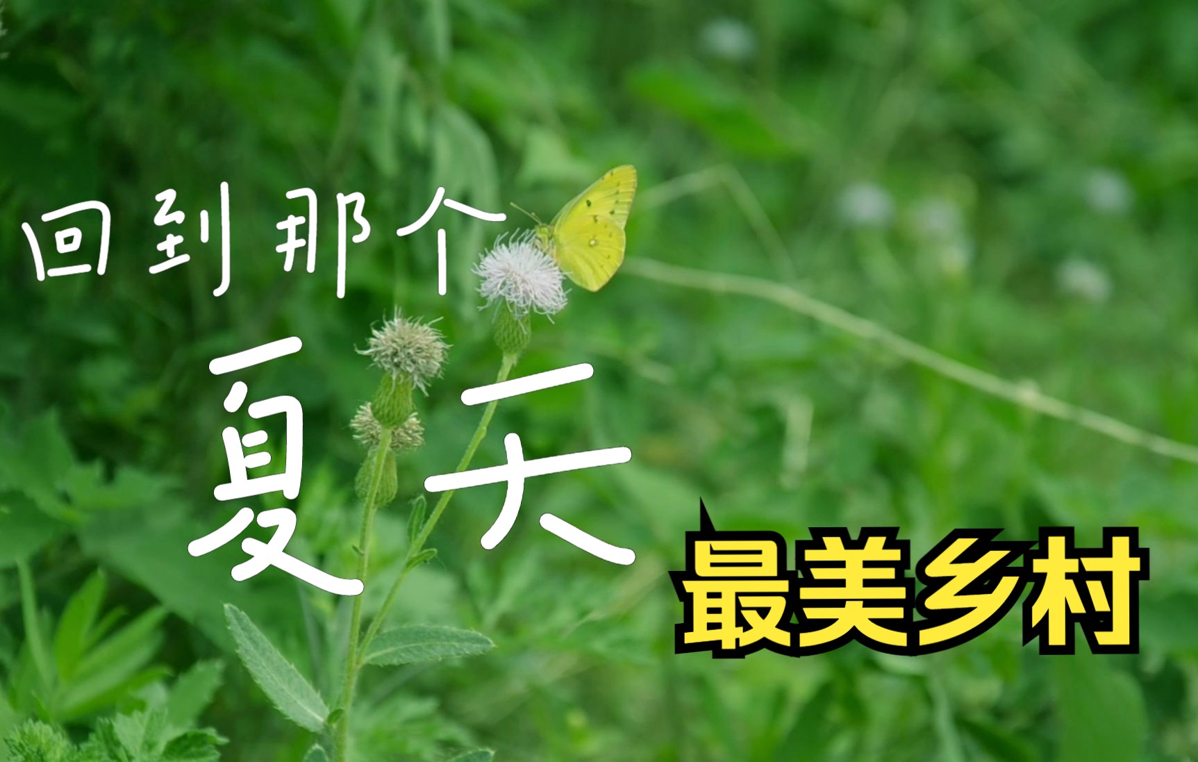 活动  老师说点赞不到一万就挂科《回到那个夏天》