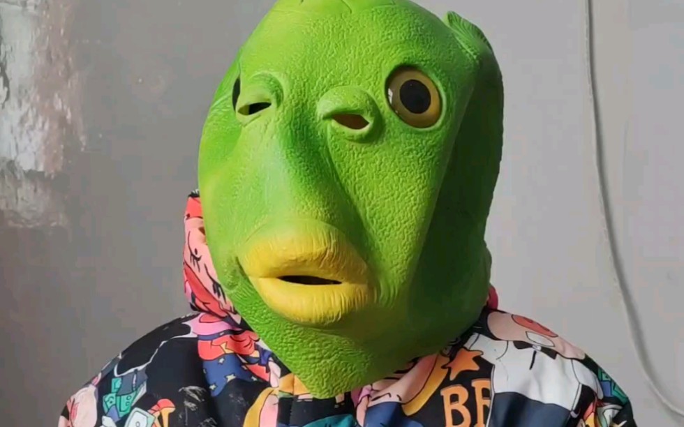 鱼头怪‖2022年我家出现的鱼头怪们_哔哩哔哩_bilibili