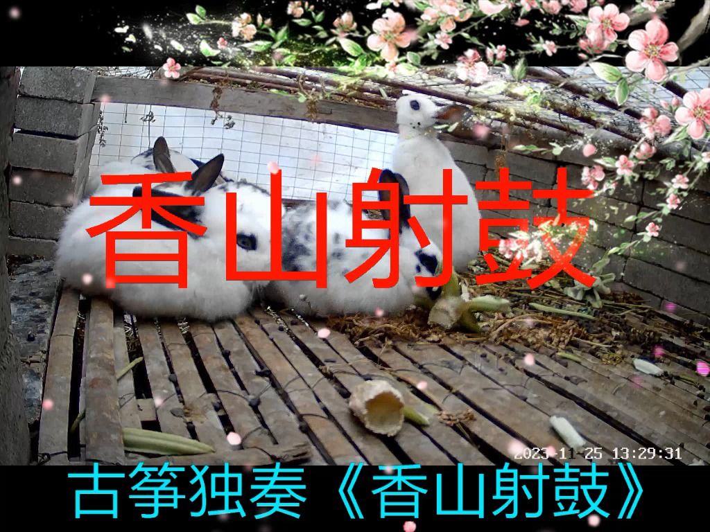 古筝独奏《香山射鼓》16分钟,经典名曲,古风古韵
