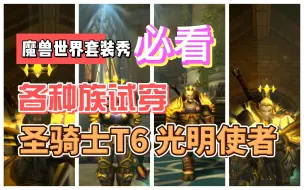 魔兽世界全种族套装-圣骑士T6光明使者-重磅更新