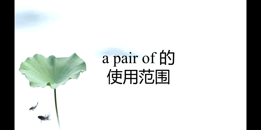 第48集:a pair of使用语境的归纳哔哩哔哩bilibili