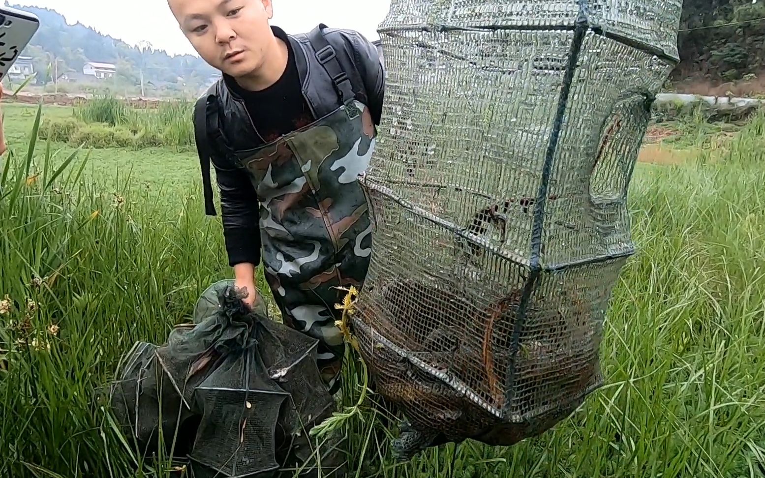 四川农村养虾塘鳝鱼成灾,每天吃掉不少龙虾苗,小毛下网全抓起来哔哩哔哩bilibili