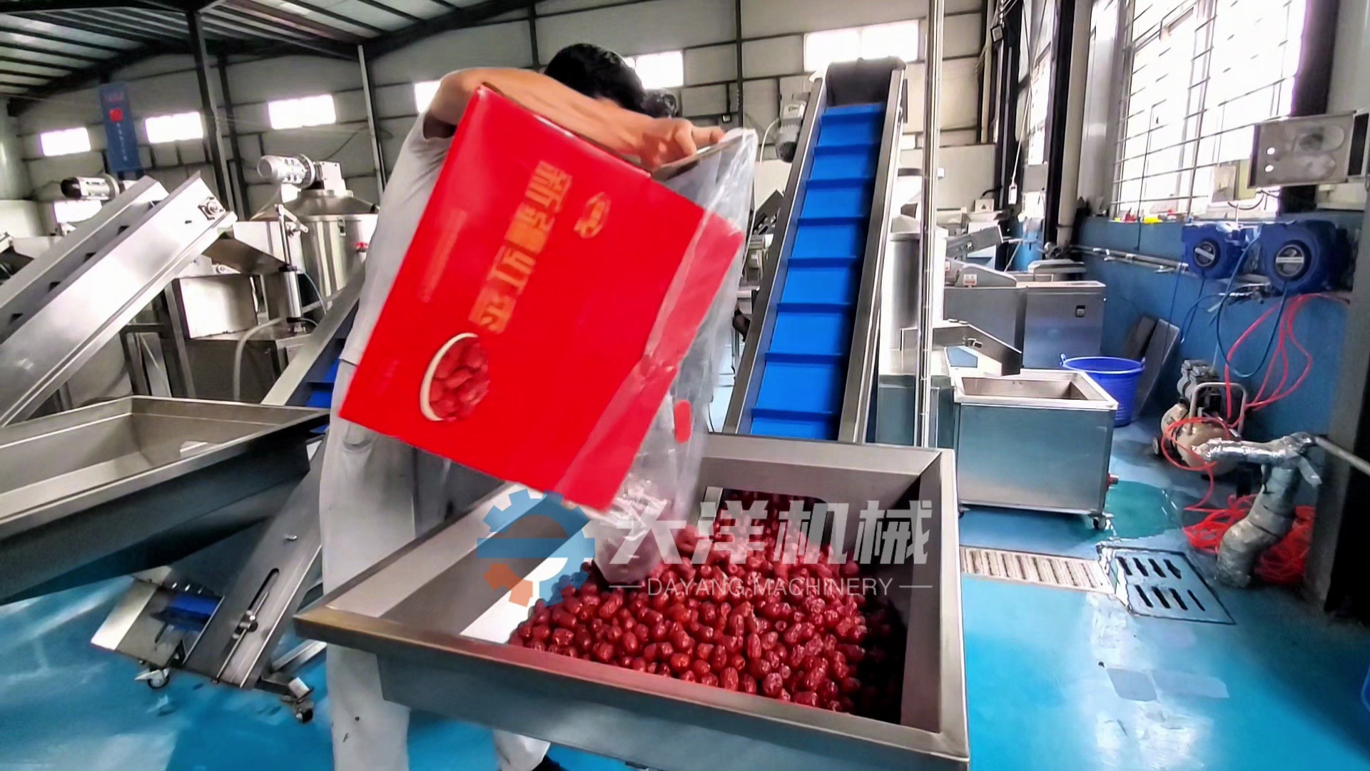 连续式红枣脱皮机 全自动去枣皮的机械