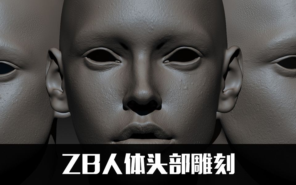 【ZBrush教程16集】人体头部雕刻视频教程,头部精细化雕刻教学(试看部分)哔哩哔哩bilibili