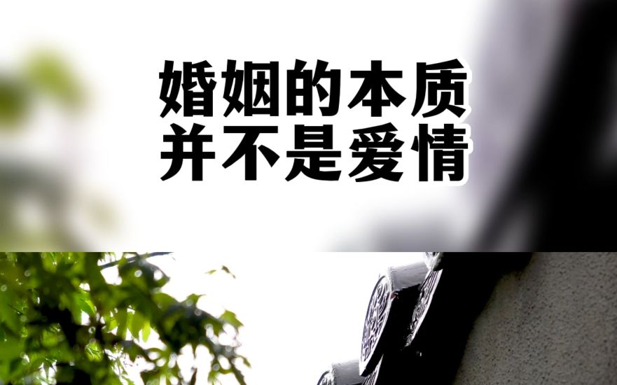 活动  婚姻的本质并不是爱情