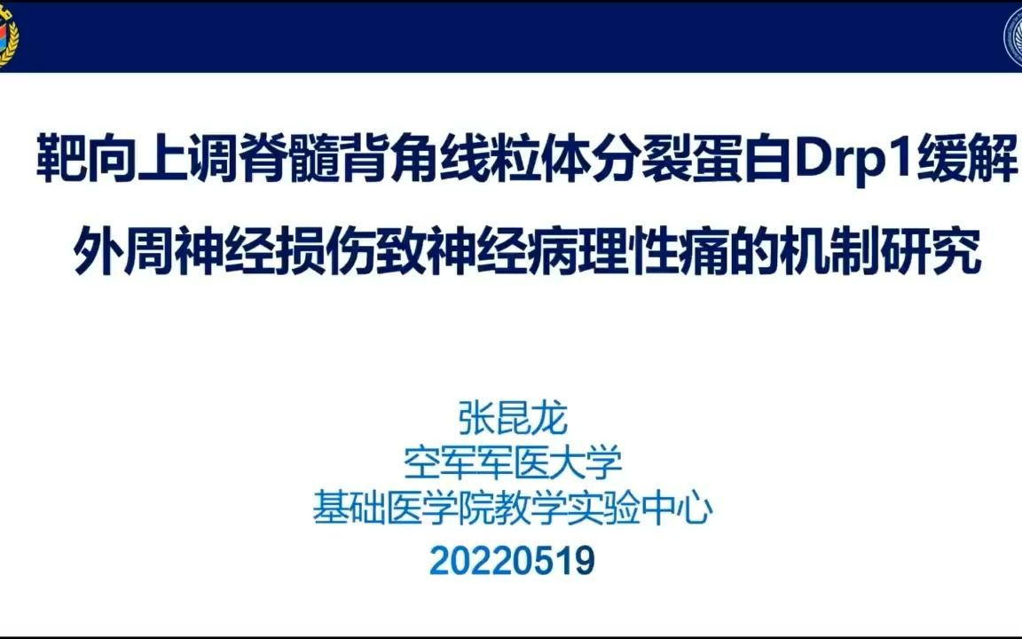 靶向上调脊髓背角线粒体分裂蛋白Drp1缓解外周神经损伤致神经病理性痛的机制研究(张昆龙)哔哩哔哩bilibili