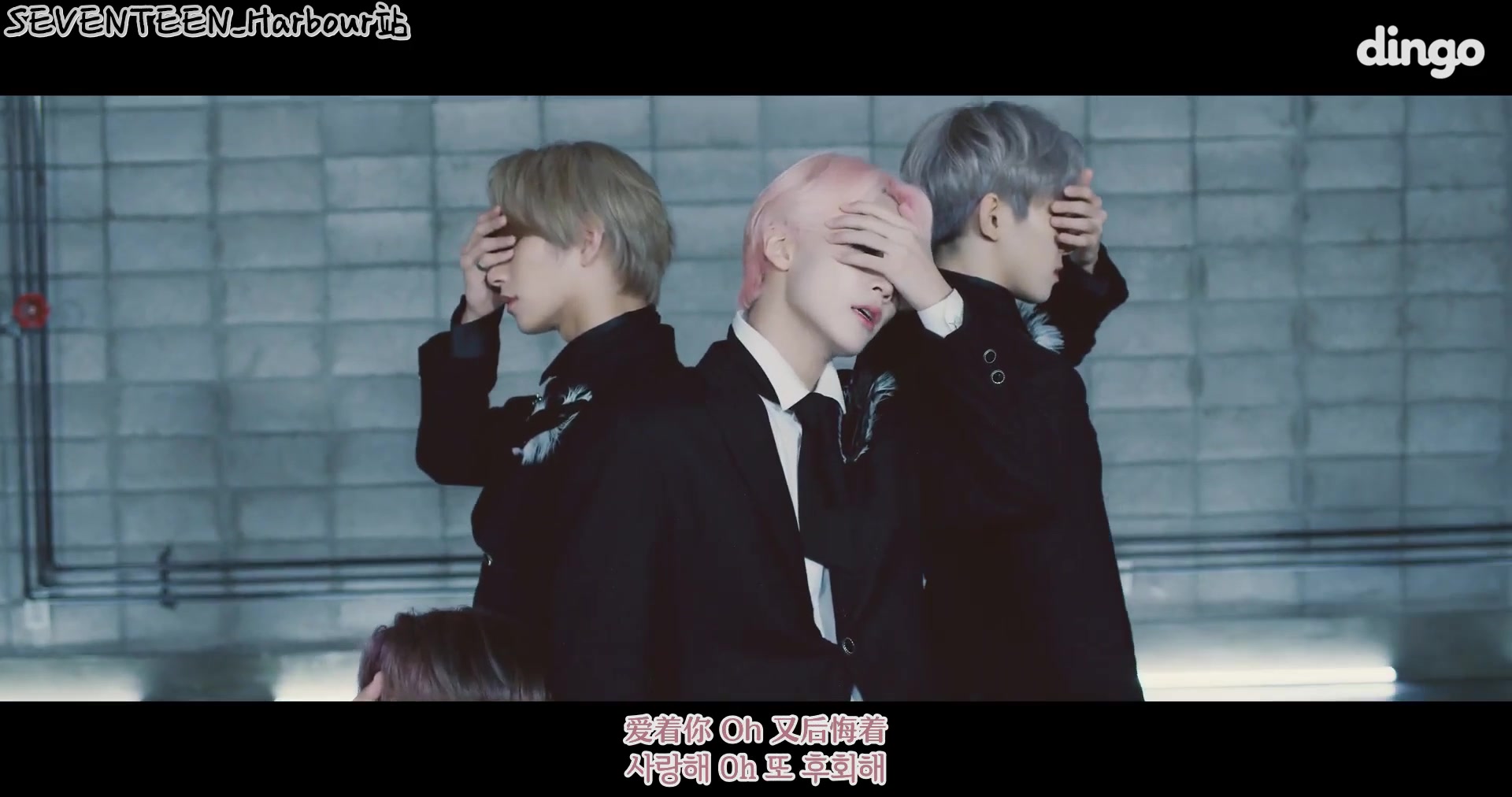 [svt_harbour中字] 190917 seventeen dingo 毒 fear 编舞追踪录制