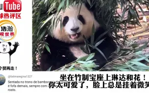 Descargar video: 【歪果评论】大熊猫和花给自己做了一个遮阳伞萌出圈，老外：我爱和花太萌了！